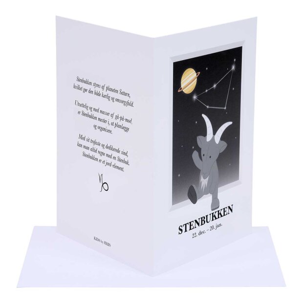 KIDS BY FRIIS - A6 DOBBELTKORT M/STJERNETEGN | STENBUKKEN