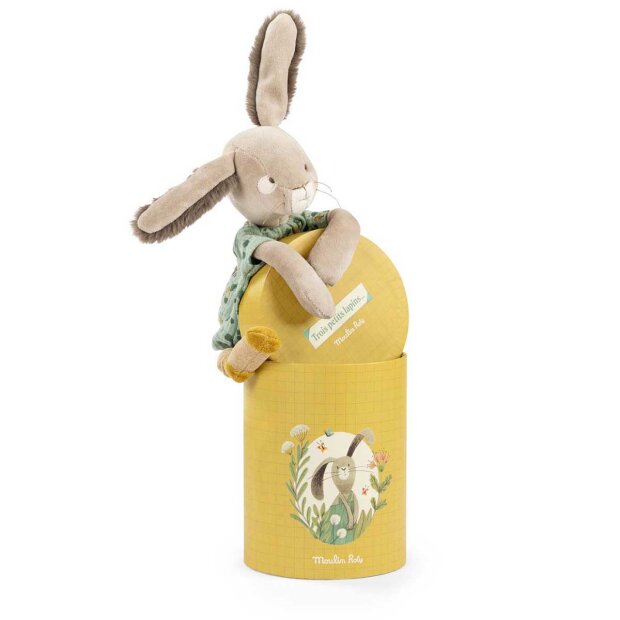 MOULIN ROTY - KANINEN SAUGE I ÆSKE