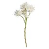 SPEEDTSBERG - KRYSANTEMUM 55CM | WHITE