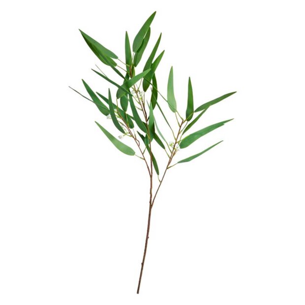 SPEEDTSBERG - EUKALYPTUS 89CM | GREEN