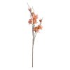 SPEEDTSBERG - BLOMSTER STILK 85CM | ROSE