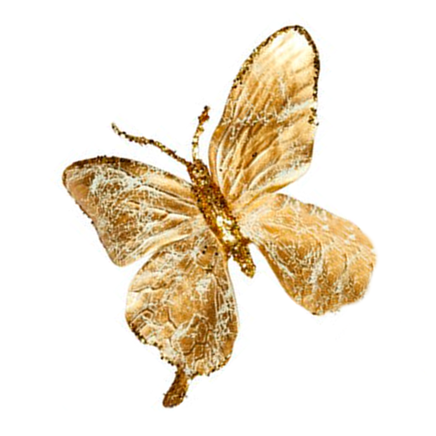 SPEEDTSBERG - SOMMERFUGL M/CLIPS 18X15 CM | GOLD
