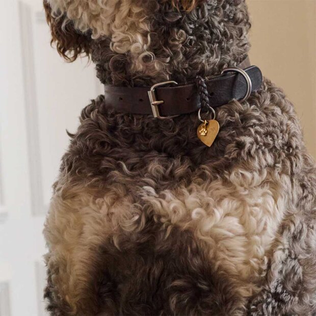 ENAMEL COPENHAGEN - CHARM - FORGYLDT | SWEET PAW