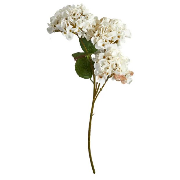 SPEEDTSBERG - HORTENSIA 71CM | WHITE