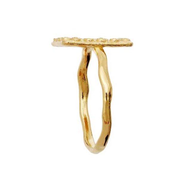 MAANESTEN - AIDA RING | FORGYLDT