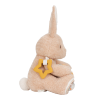 LITTLE DUTCH - AKTIVITETSBAMSE BUNNY LITTLE DUTCH - AKTIVITETSBAMSE BUNNY