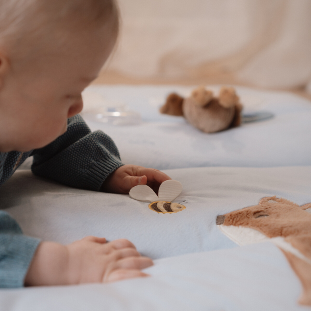 LITTLE DUTCH - LEGETÆPPE - FOREST FRIENDS