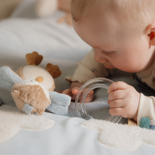 LITTLE DUTCH - LEGETÆPPE - FOREST FRIENDS