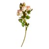 SPEEDTSBERG - ROSE STILK 41CM | ROSE SPEEDTSBERG - ROSE STILK 41CM | ROSE