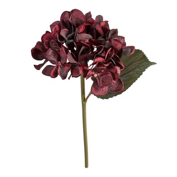 SPEEDTSBERG - HORTENSIA STILK 28CM | DARK RED