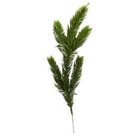 SPEEDTSBERG - GRANGREN 25 CM | GRØN