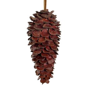 SHISHI - KOGLE AF KASTANJESKAL 25CM
