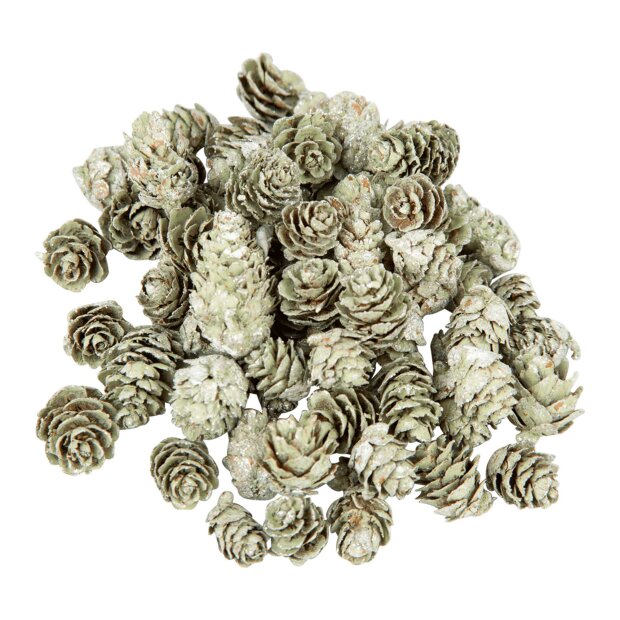 CHAKAR - KOGLER MINI I POSE 150G | LIGHT GREEN