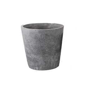 CHAKAR - RUSTIC MOONLIGHT