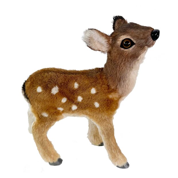 SHISHI - BAMBI | BRUN