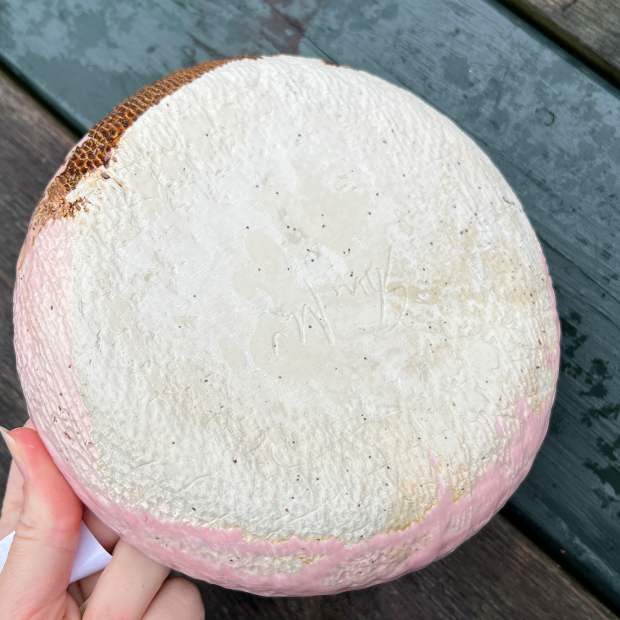 STINEMEI KERAMIK - PASTASKÅL  | ROSE