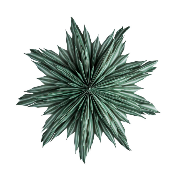 WATT&VEKE - HELENA 44 JULESTJERNE | GREEN