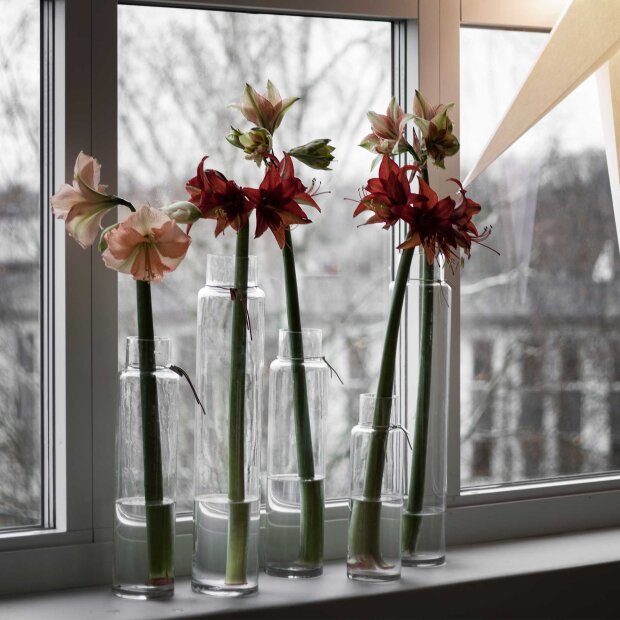 ERNST - GLASVASE 11X45,3 CM