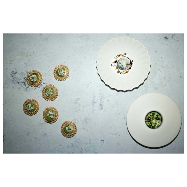 NEW MAGS - PINK OYSTER