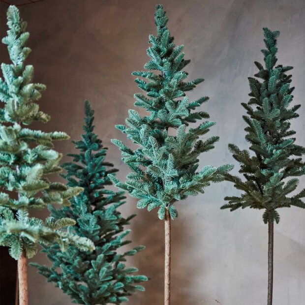 SPEEDTSBERG - GRANTRÆ M/FOD