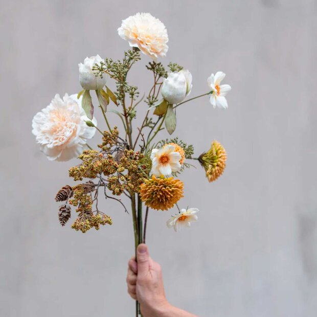 SPEEDTSBERG - STOLT KAVALER STILK | HVID