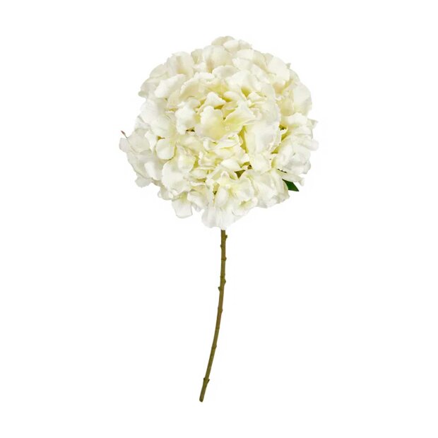 SPEEDTSBERG - HORTENSIA STILK | HVID