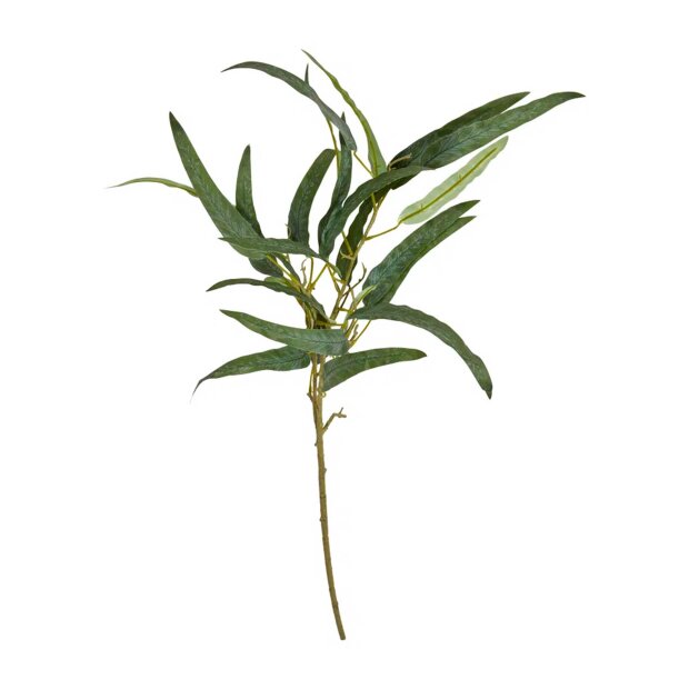 SPEEDTSBERG - EUKALYPTUS STILK | GREEN