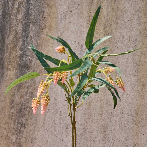 SPEEDTSBERG - EUKALYPTUS STILK | GREEN