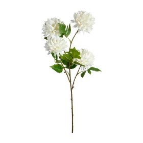 SPEEDTSBERG - KRYSANTEMUM STILK | HVID