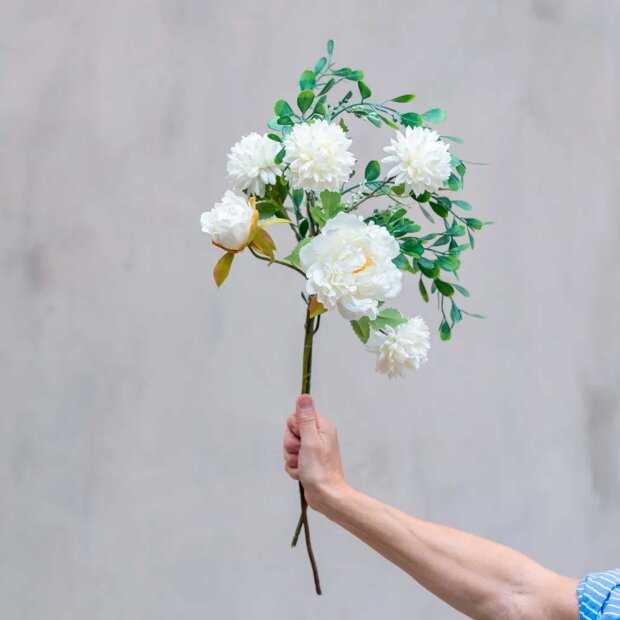 SPEEDTSBERG - KRYSANTEMUM STILK | HVID