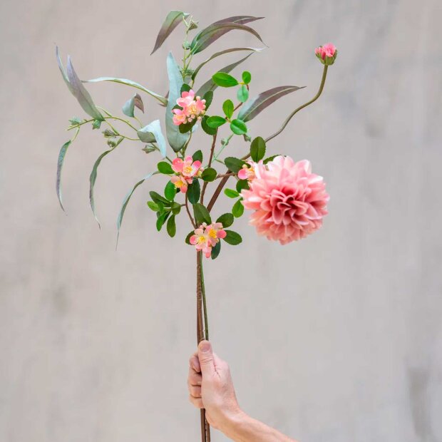 SPEEDTSBERG - ÆBLEGREN | ROSE