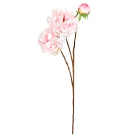 SPEEDTSBERG - PÆON STILK | LIGHT ROSE