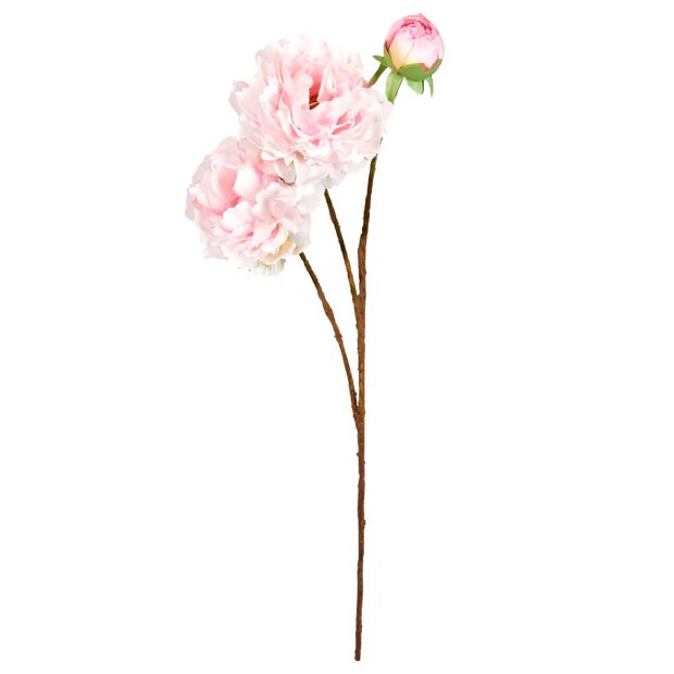 SPEEDTSBERG - PÆON STILK | LIGHT ROSE