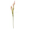 SPEEDTSBERG - BRISTLEGRASS STILK | ROSE