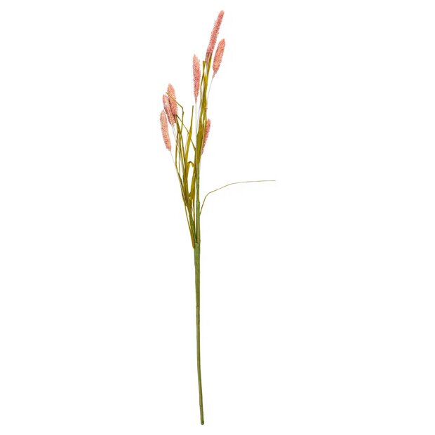 SPEEDTSBERG - BRISTLEGRASS STILK | ROSE