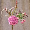 SPEEDTSBERG - BRISTLEGRASS STILK | ROSE