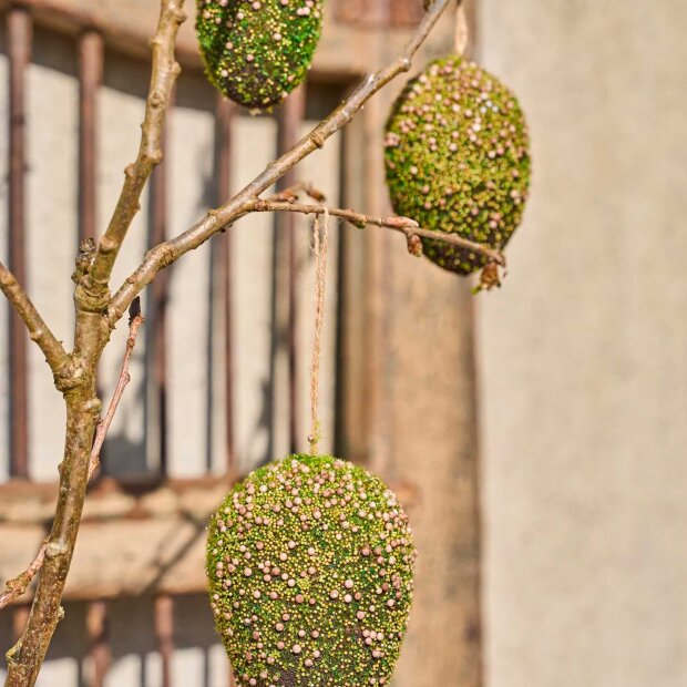 SPEEDTSBERG - MOS ÆG M/SNOR | GREEN