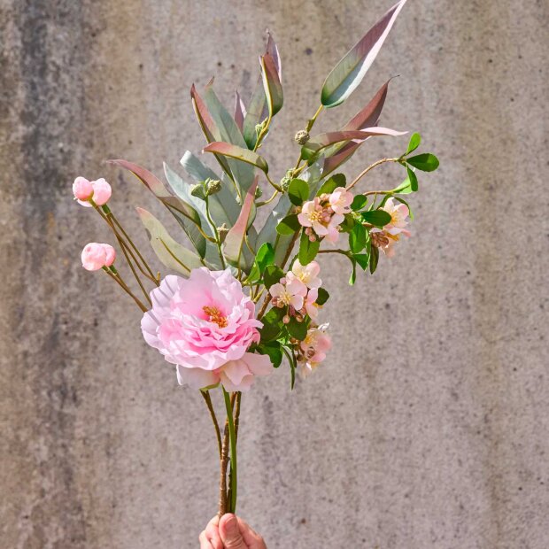 SPEEDTSBERG - PÆON STILK | LIGHT ROSE