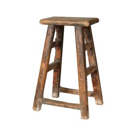 SPEEDTSBERG - SKAMMEL TRÆ UNIKA | NATURE