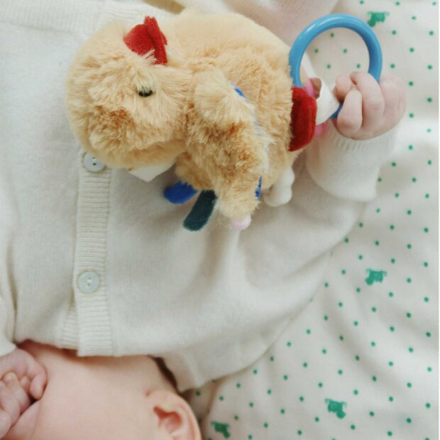 FANGA - PELUCHE MIO | SEA MIST