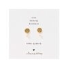 A BEAUTIFUL STORY - MINI COIN ROSE QUARTZ EARRINGS