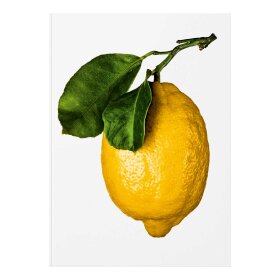NEW MAGS - THE GOURMAND'S LEMON. A COLLECTION OF STORIES AND RECIPES