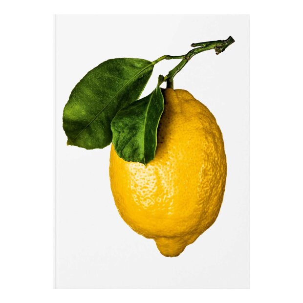 NEW MAGS - THE GOURMAND'S LEMON. A COLLECTION OF STORIES AND RECIPES