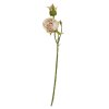 SPEEDTSBERG - ROSE STILK 65 CM | DUSTY