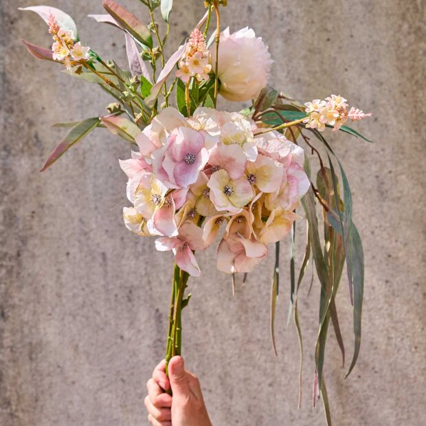SPEEDTSBERG - PÆON STILK 64 CM | ROSE