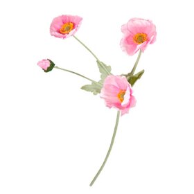 SPEEDTSBERG - VALMUE STILK 64 CM | PINK