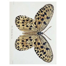 VANILLA FLY - LYKØNSKNINGSKORT 13X9 CM | BUTTERFLY