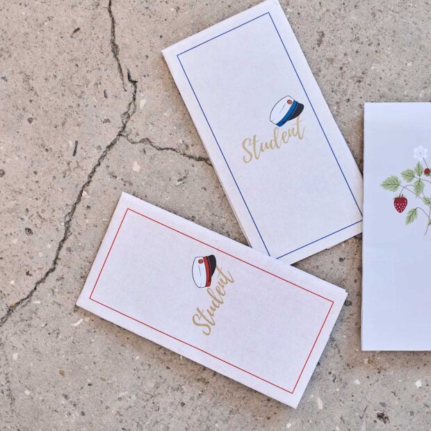 SPEEDTSBERG - SERVIETTER 16 STK | GREY MIX/RED