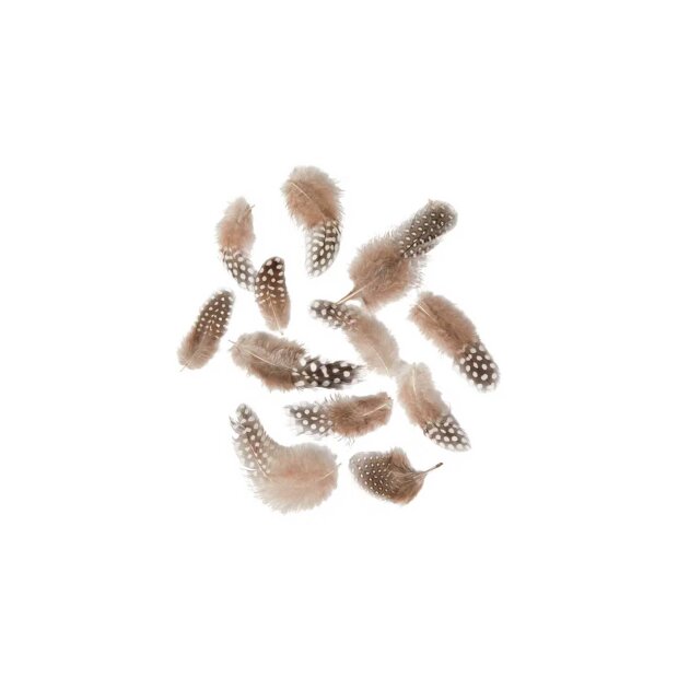 SPEEDTSBERG - FJER I POSE - 24 STK | NATURAL BLACK/WHITE