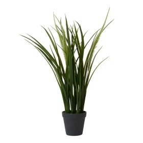 SPEEDTSBERG - GRÆS I POTTE 56CM